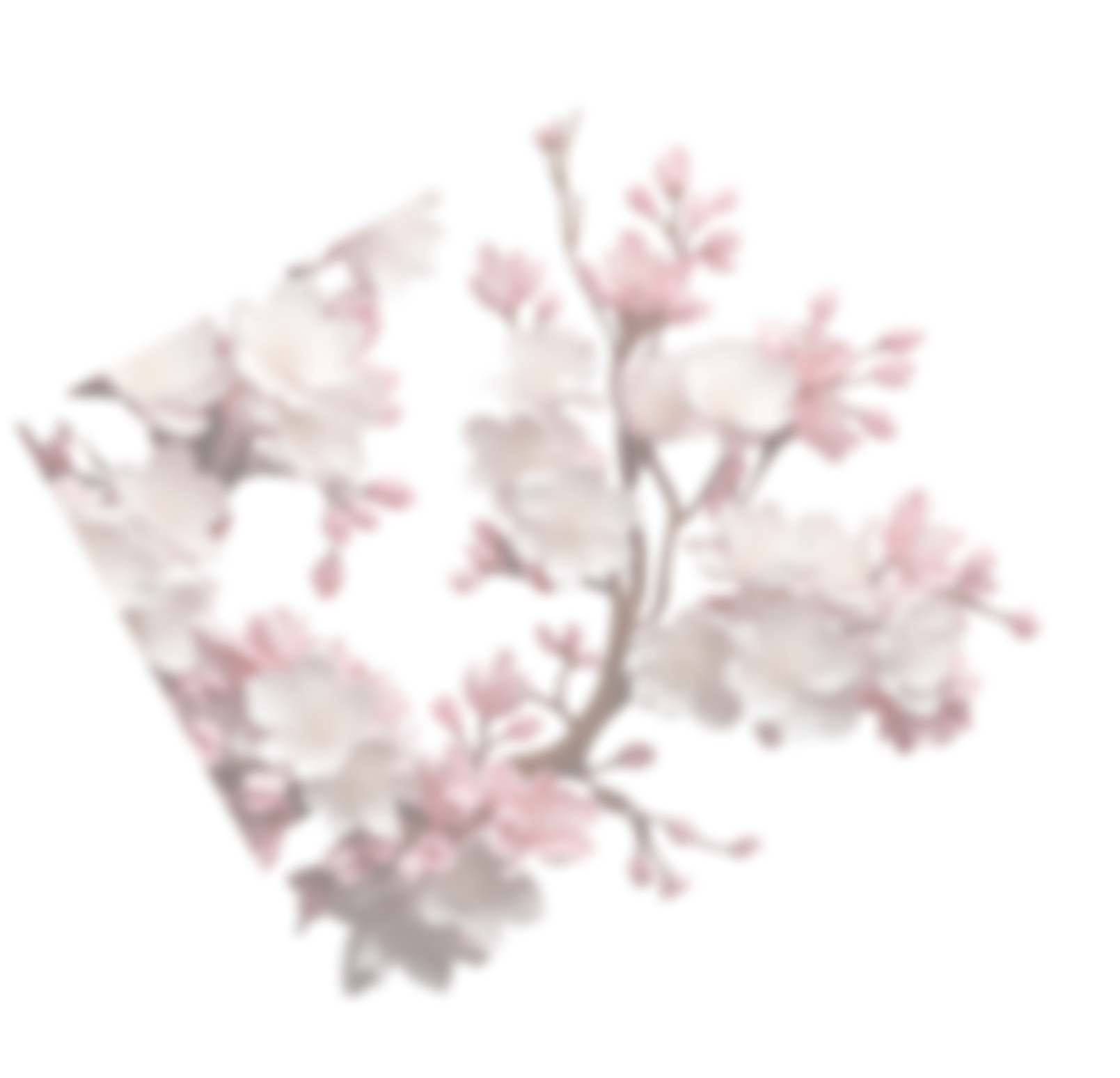 flower5