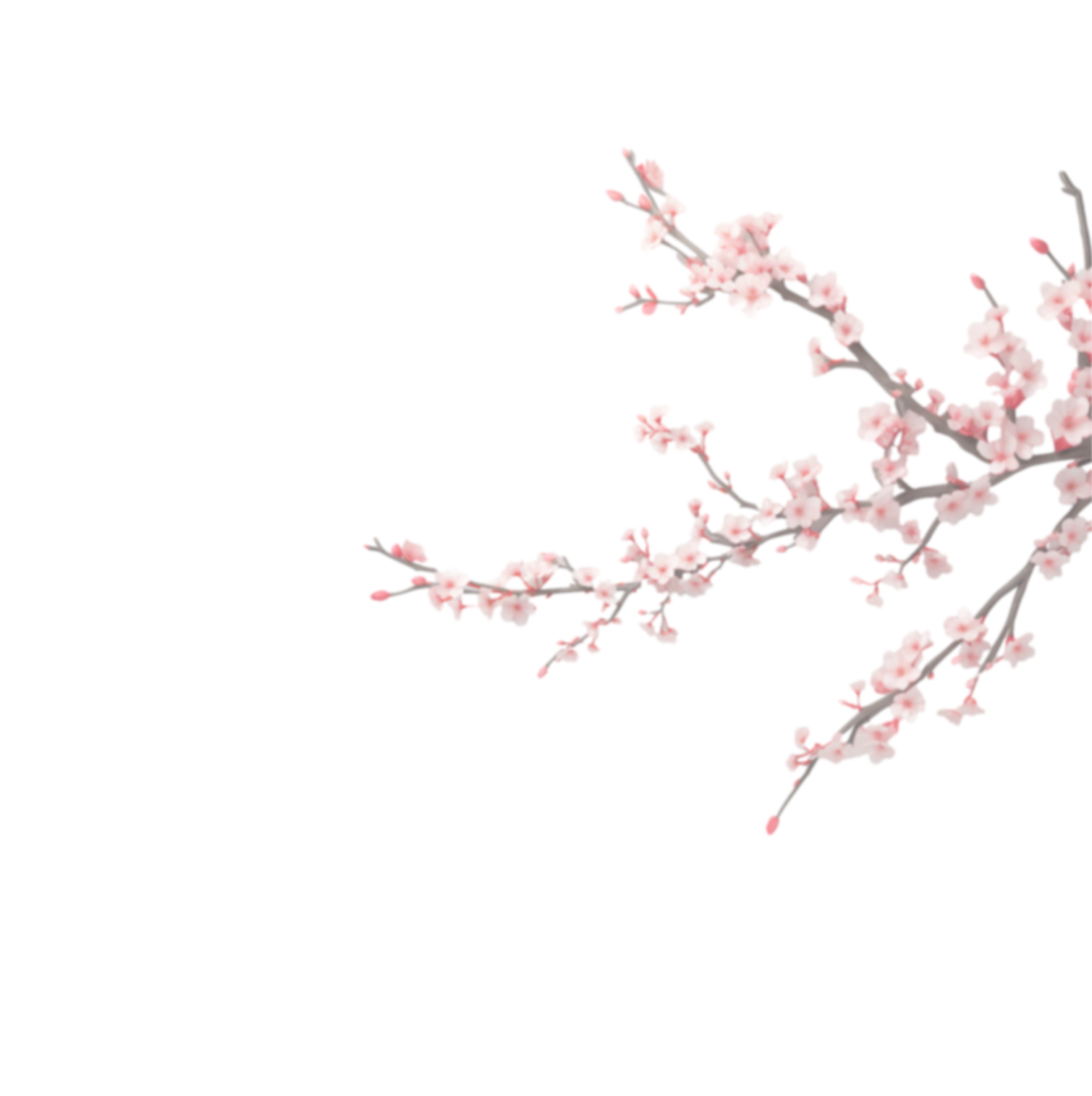 flower6
